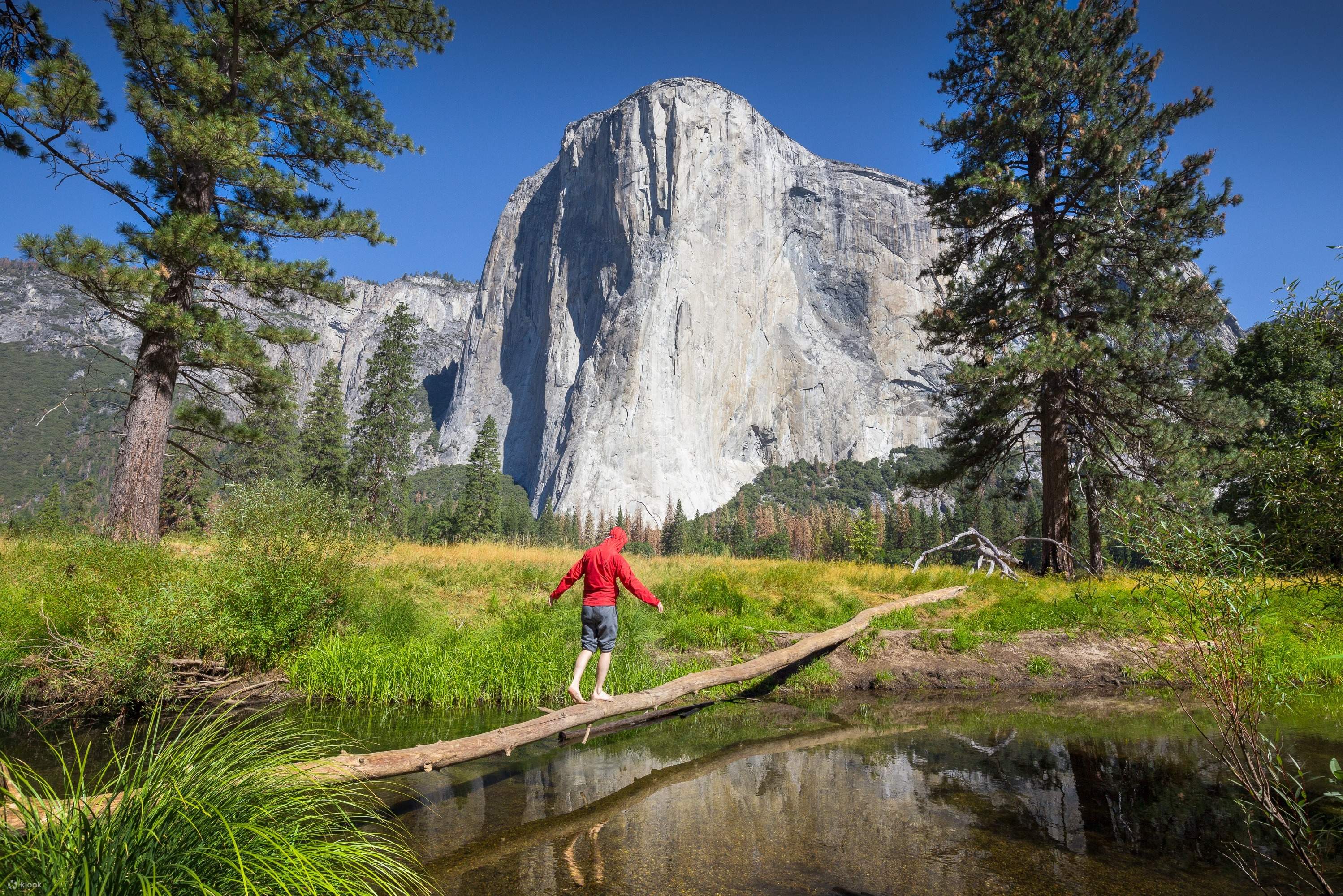 yosemite ヨセミテ　まとめ売り ヨセミテ日帰りツアーチケット | Klook